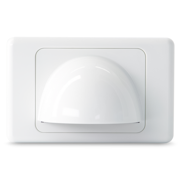 Bull Nose Plate - White